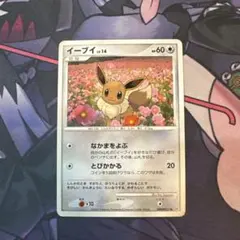 2025年最新】ポケモンカード イーブイ なかまをよぶの人気アイテム