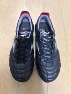MIZUNOモレリアネオ4 25センチ