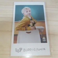 BUDDiiS FUMIYA 生写真