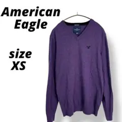 【人気】アメリカンイーグル Vネック ニット ワンポイント 刺繍ロゴ 紫 XS