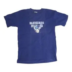 ヴィンテージ 90年代 ブラックフライ Tシャツ USA製