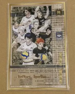 【ハイキュー‼︎】sportiva スペシャルアクリルパネル