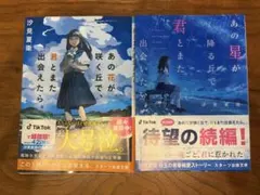 あの花が咲く丘で、君とまた出会えたら。 あの星が降る丘で、また君と出会いたい