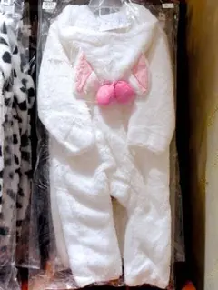 Item thumbnail for item 8f9dbbb6-690a-443a-9506-04df9b962373