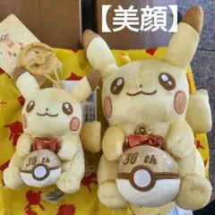 ピカチュウ ぬいぐるみ キャラクターグッズ