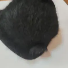 黒いウールニット帽