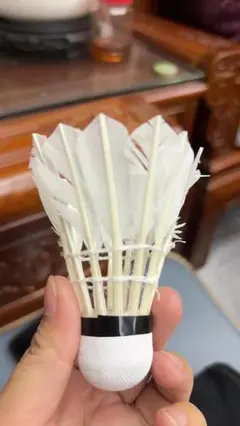 Item thumbnail for item 63ec621b-68fd-44d9-85b6-c41417ebb20f