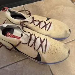 NIKE ZOOM FLY ズームフライ フライニット29センチ