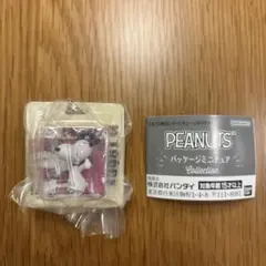 PEANUTSパッケージミニチュアコレクション1960s