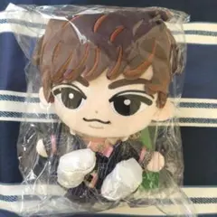 SnowMan すのチル ぶら下がらないシリーズ BIGぬいぐるみ 阿部亮平