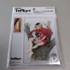 ハイキュー!! TO THE TOP 孤爪研磨 アクリルスタンド
