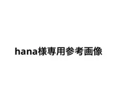 hana様専用参考画像