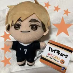 ハイキュー!! みにコレ！ぬいぐるみマスコット5 宮侑