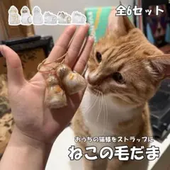 猫毛玉いれ キーホルダー ストラップ ペット 飼い猫 ねこ 透明 セット