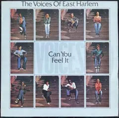 The Voices Of East Harlem Can You Feel 〜