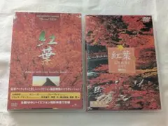 Item thumbnail for item 843b05a6-e465-4c8a-b2c6-e6e3fe56618a