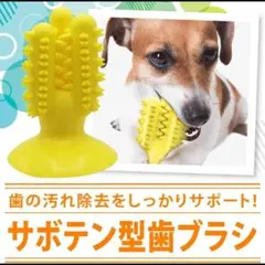 Item thumbnail for item afb7671b-6e03-4186-b88a-592ce3cfba24