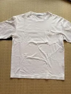 GREEN LABEL RELAXING ホワイト Tシャツ