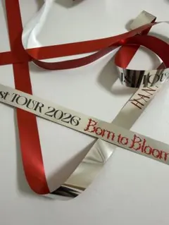 HANA Born to Bloom 銀テープ