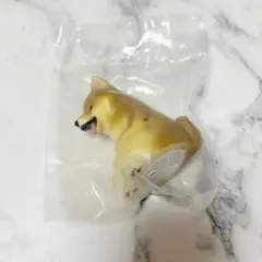 大きな 光る まてぼうけ犬 柴犬 ガチャガチャ フィギュア