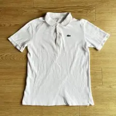 LACOSTE ポロシャツ