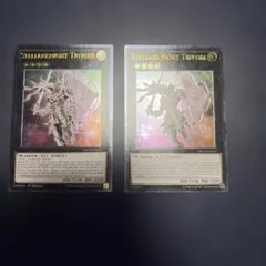 オーバーロードフュージョン ドイツ 1st POTD レリーフ 2枚 英語 EU