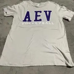CANVAS バレーボールTシャツ スポーツ Tシャツ Mのサムネイル
