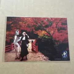 蘭陵王 フォトブック - メルカリ