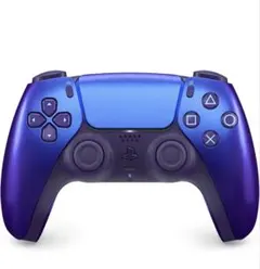 メタルキング様青紫 DualSense コントローラー