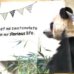 こたあず様 リクエスト 2点 まとめ商品