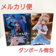 【匿名配送】東方Project　ぬーどるストッパー　フィギュア　2種セット