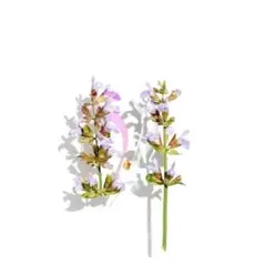 asuka⭐︎様 リクエスト 2点 まとめ商品