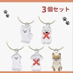 わんこのタイムカプセル 愛犬の毛の入れ物 キーホルダー　3個セット