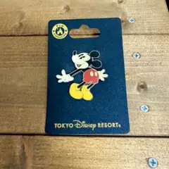 東京ディズニーランド