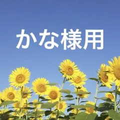 かな様 リクエスト 3点 まとめ商品