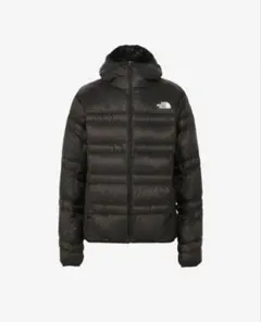 Item thumbnail for item ea73874a-7bb6-4189-87a7-5027a0b67bbc