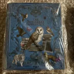 魔法辞書クッキー缶　ハロウィン 未開封 KALDI カルディ 青　ネイビー