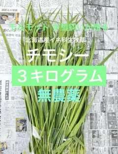 割引中【北海道産生牧草】モルモット多頭飼いが贈るイネ系•チモシー生牧草3ｋｇのサムネイル