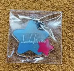 あんスタ 氷鷹北斗 ネームキーホルダー