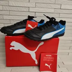 Item thumbnail for item d7551df9-49eb-4954-91b8-b32c57e7966b