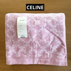 Item thumbnail for item 9c2a2c45-3c09-43e6-9304-3df8de9ecdd6