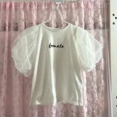 レディースTシャツのサムネイル