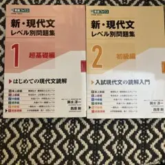 新・現代文レベル別問題集 全4冊セット