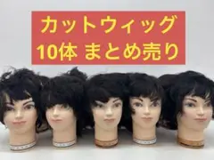 美容師国家試験カットウィッグ 16体セット 美容師国家試験カットウィッグ 16体セット
