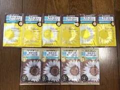 新品未使用品⭐︎ディアボー　HIMAWARI Bloom.dor 5セット