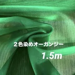 Item thumbnail for item 20788e9e-888f-4015-bf10-37ff3c33299b