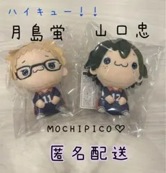 ハイキュー!! もちぴこ　ぬいぐるみ 新品 タグ付き 月島蛍♡山口忠２種セット