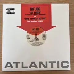 Fat Joe 12インチシングル「All I Need」