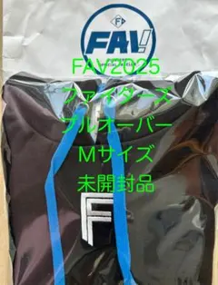 Item thumbnail for item 6262a6c0-eda7-4ee4-960d-fec594ac404e