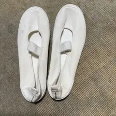 ムーンスター　体育館シューズ　上履き　22、5EE 日本製